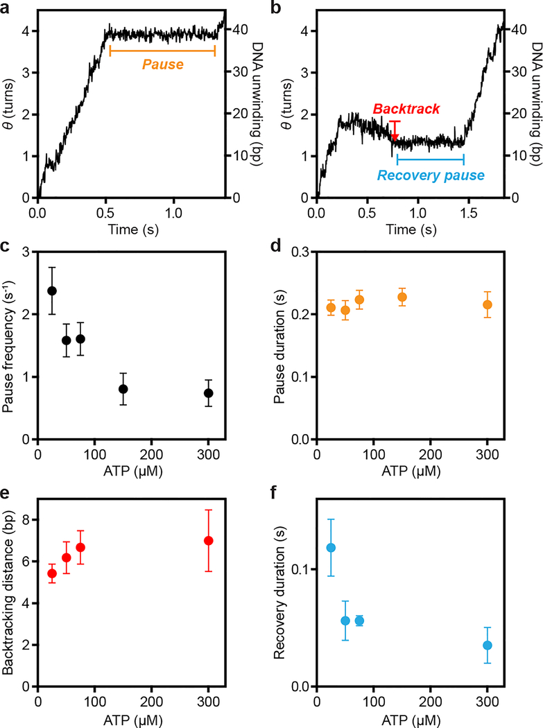 Figure 2 |