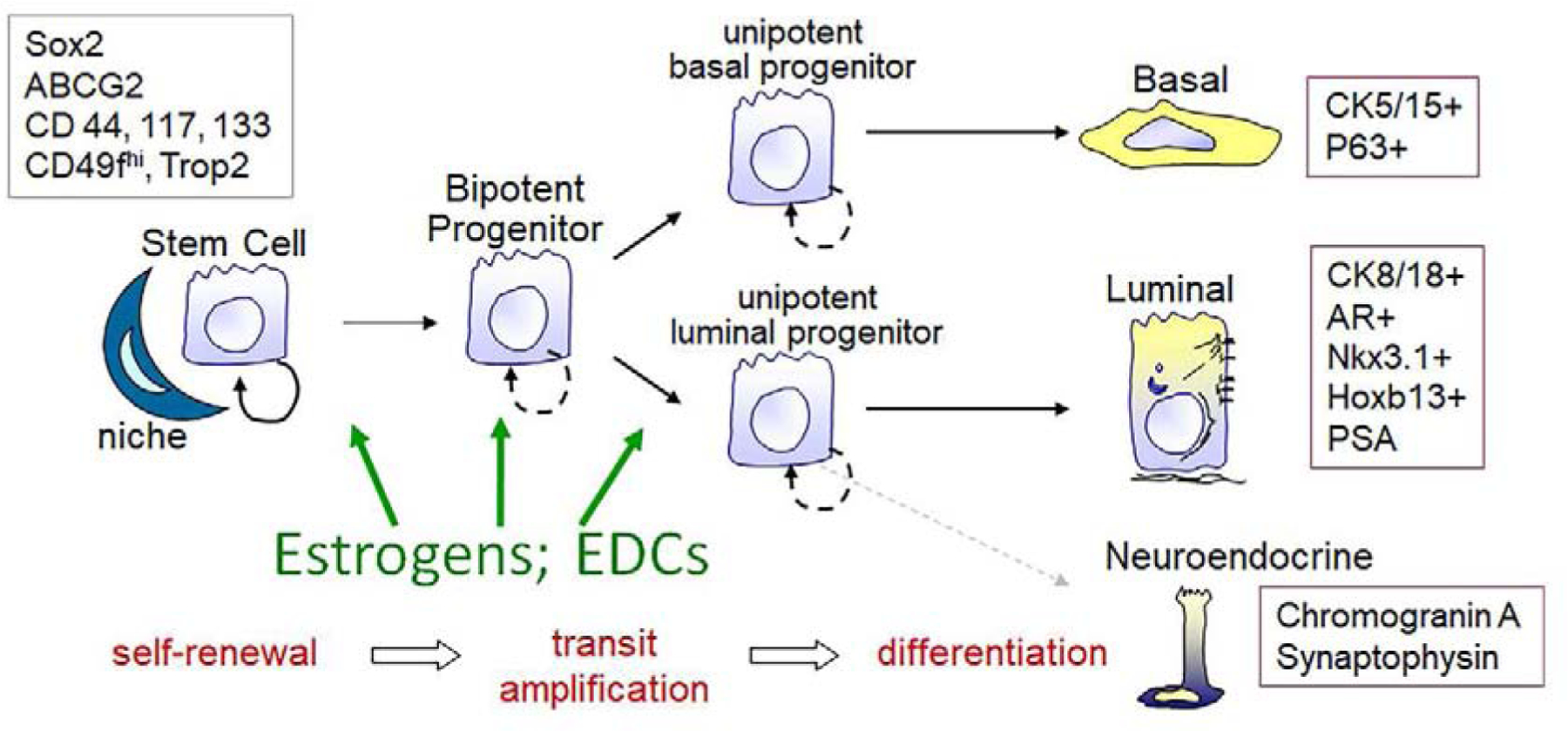 Figure 4: