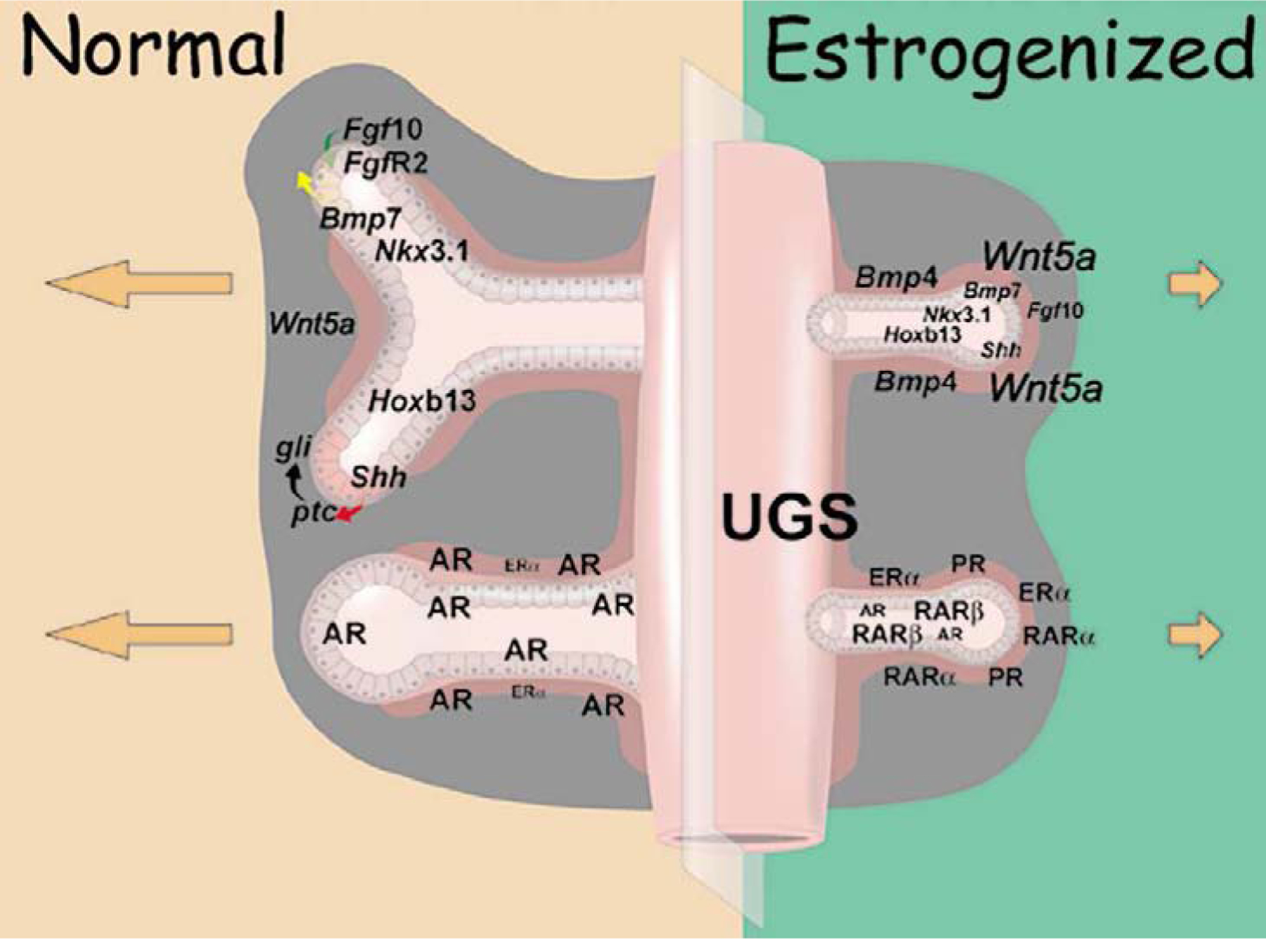 Figure 1: