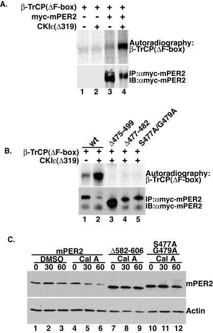 FIG. 8.