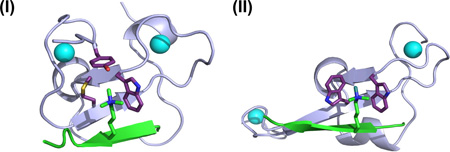 BOX 2. The plant homeodomain (PHD) finger