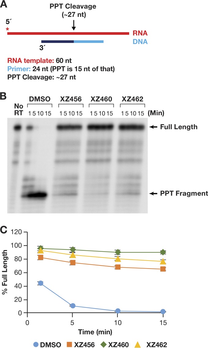 FIG 9