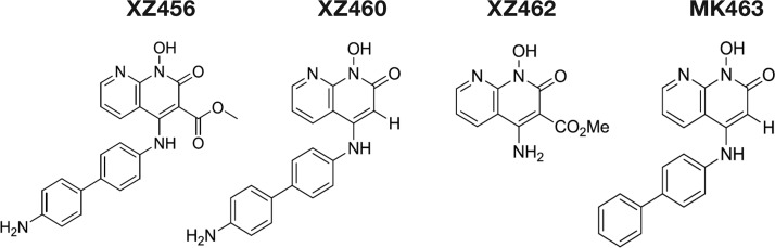 FIG 1