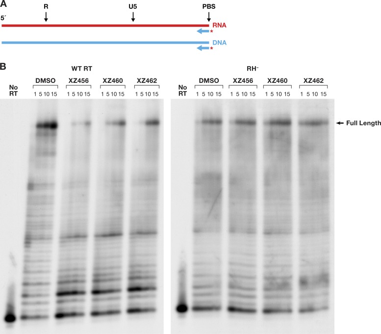 FIG 11