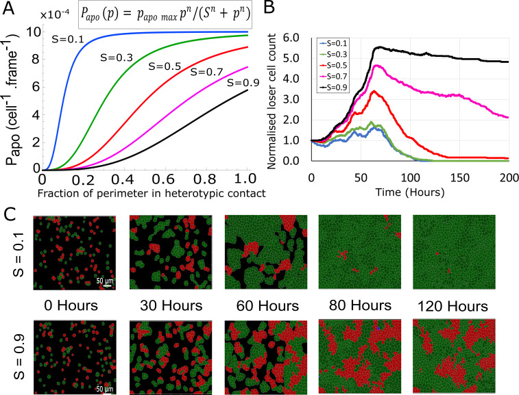 Figure 1—figure supplement 5.