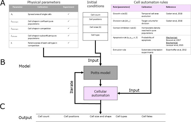 Figure 1—figure supplement 2.