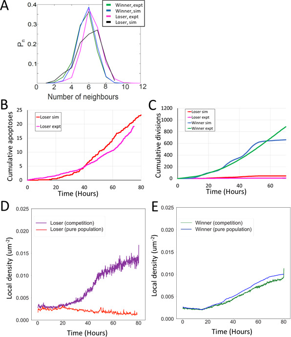 Figure 4—figure supplement 1.