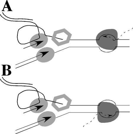 FIG. 5.