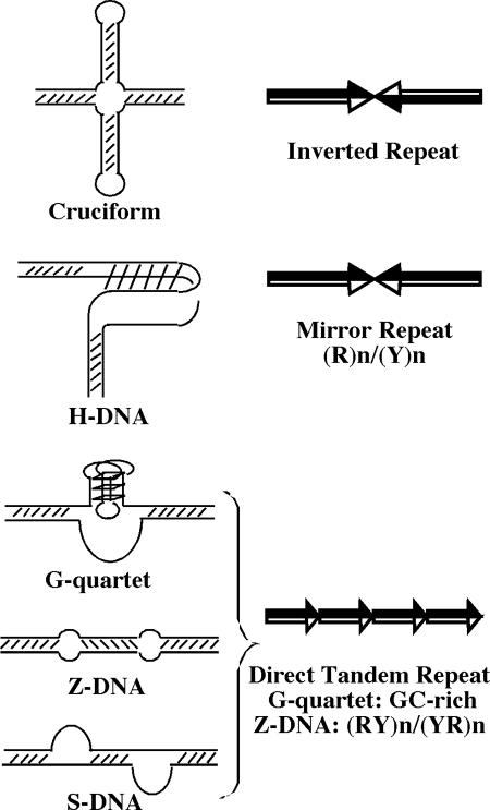 FIG. 7.