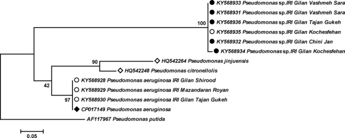 Figure 1