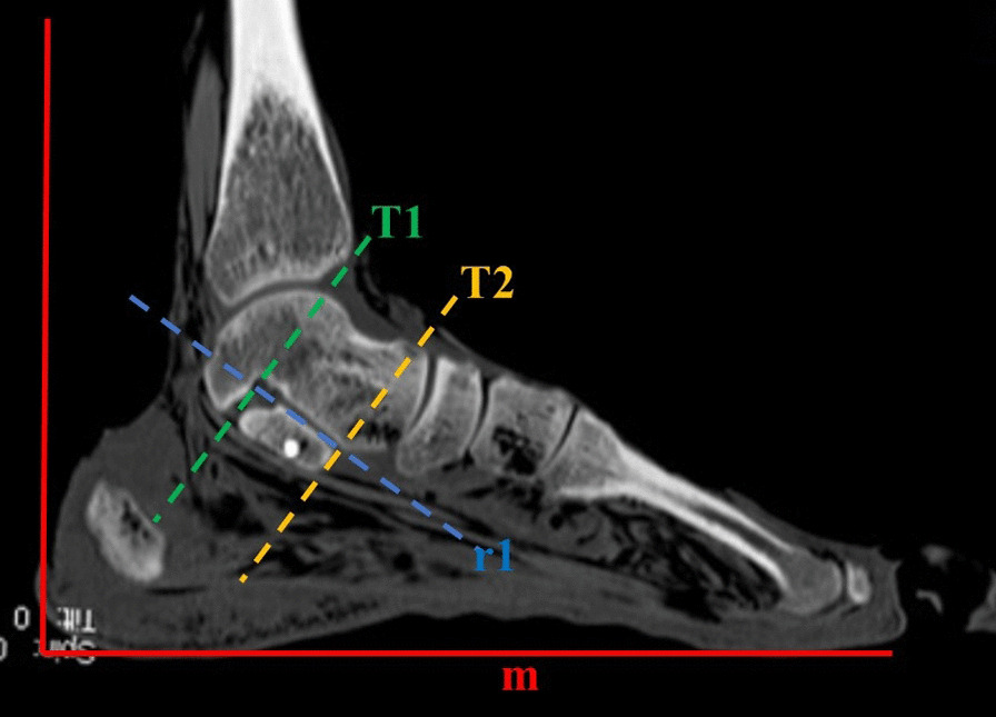 Fig. 7