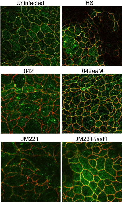 FIG. 6.