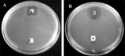 Figure 7.