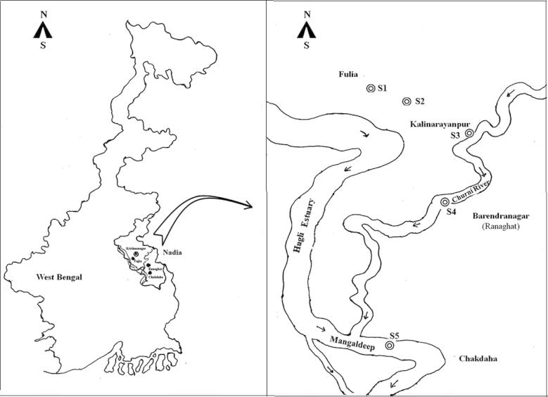 Fig. 1