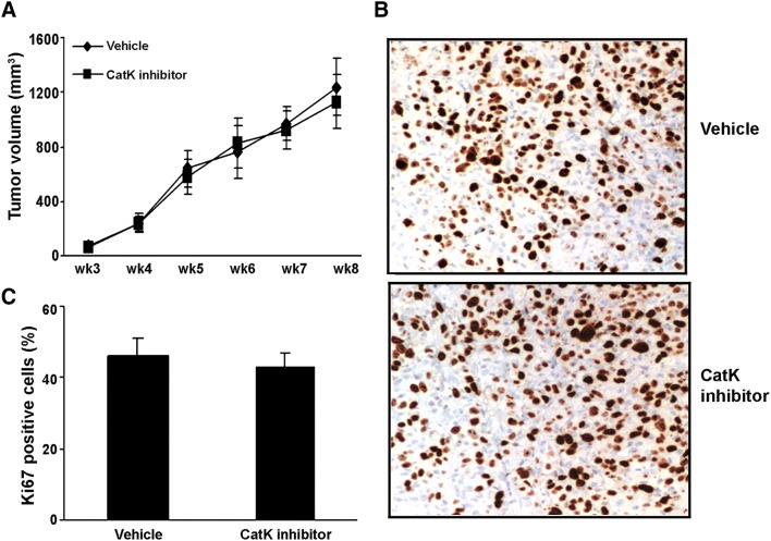 Fig. 6