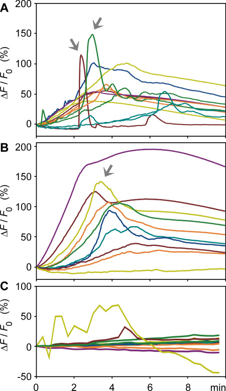 Figure 7