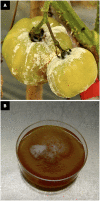 Figure 10