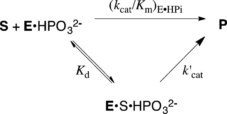 Scheme 4