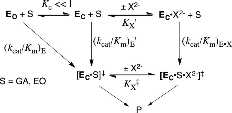 Scheme 6