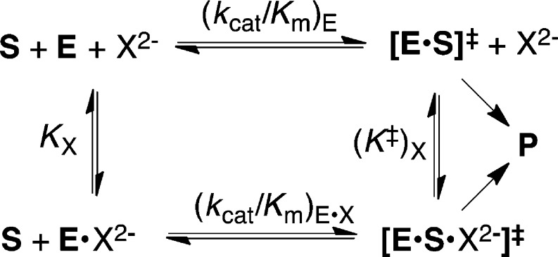 Scheme 5