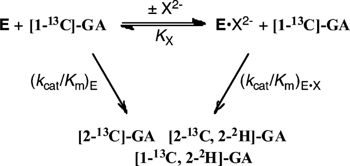 Scheme 2