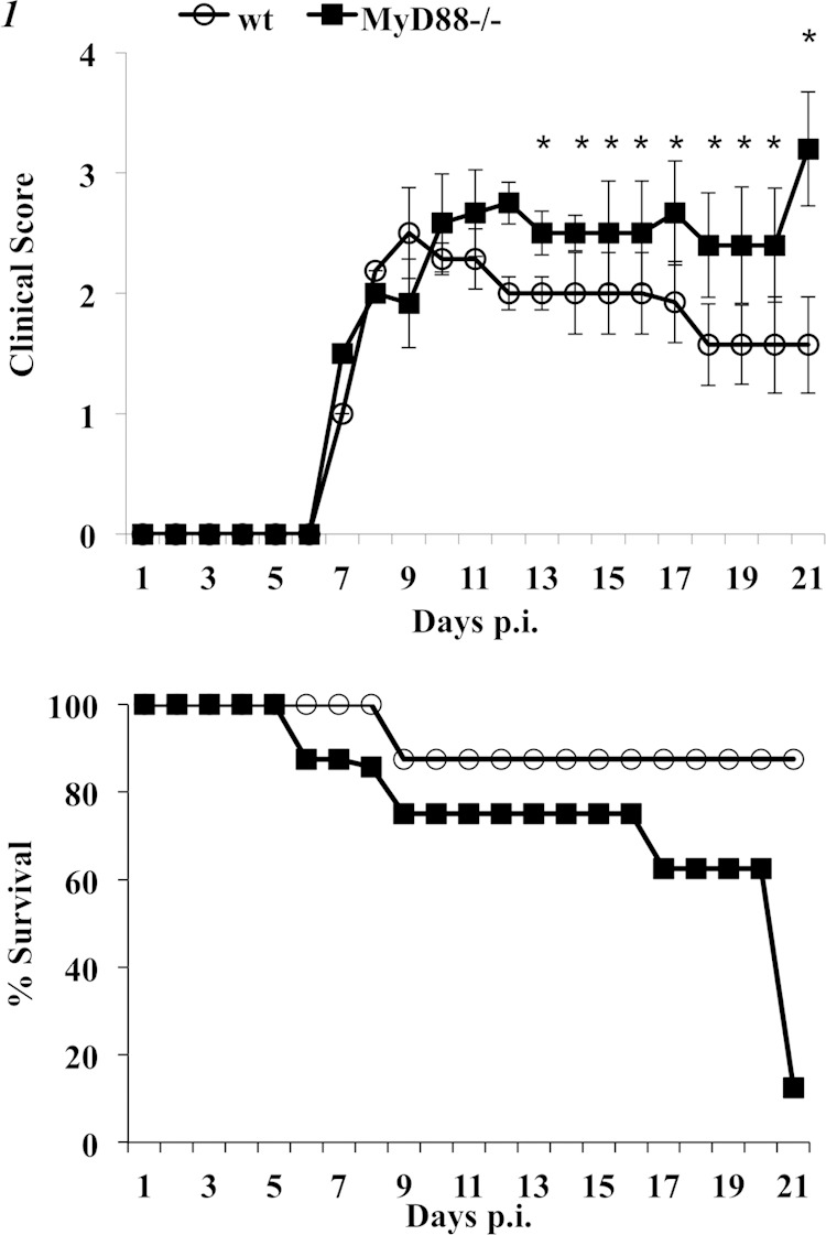 FIG 1