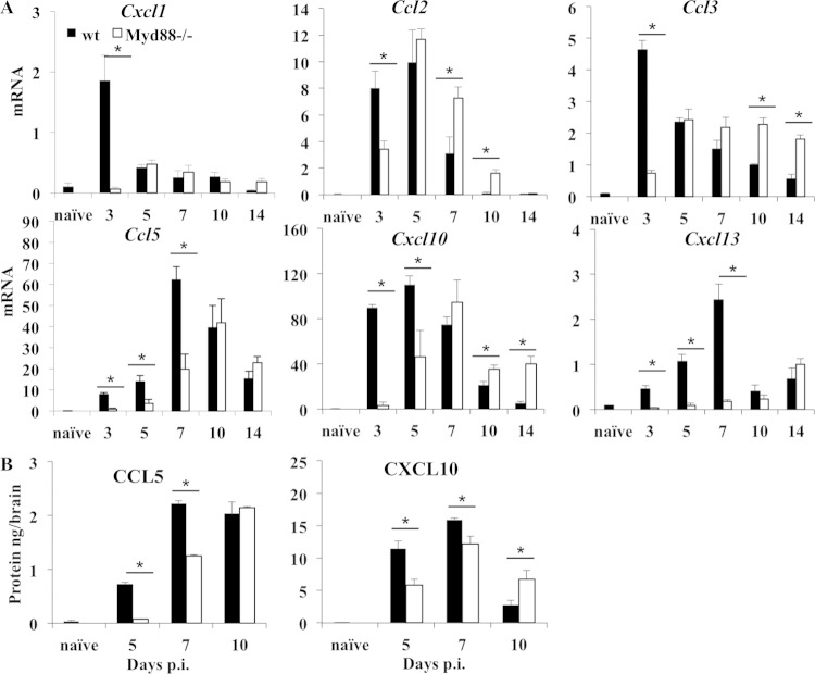 FIG 6