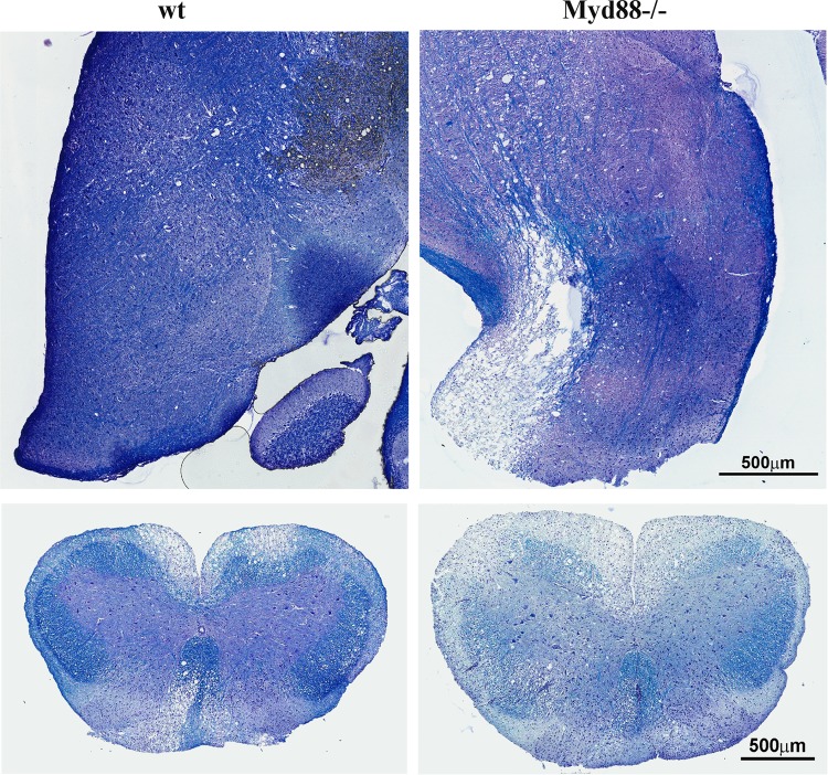 FIG 10