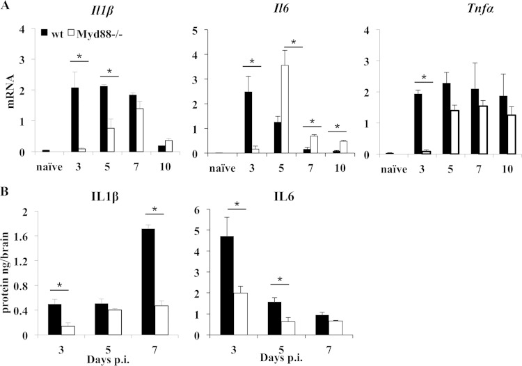 FIG 5