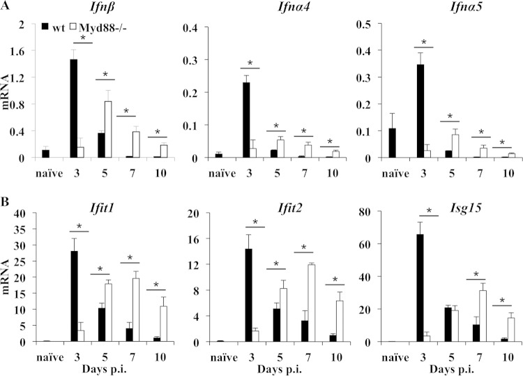 FIG 4