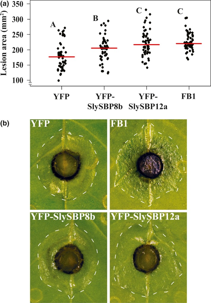 Figure 10