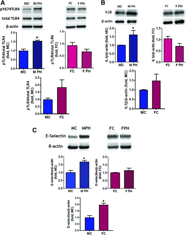 FIG. 4.