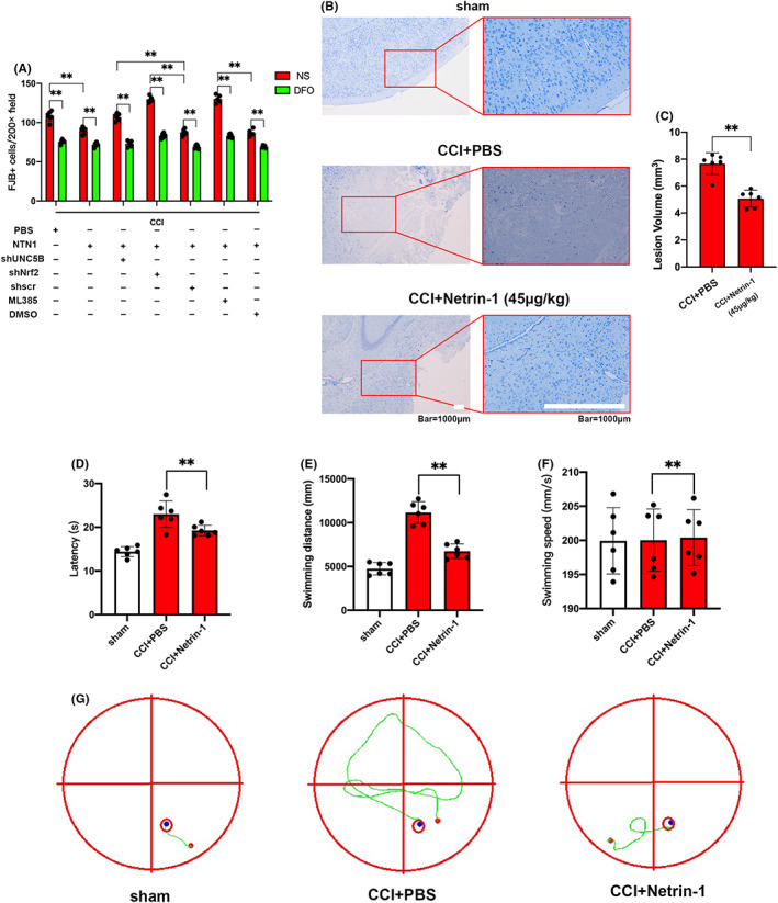 FIGURE 6