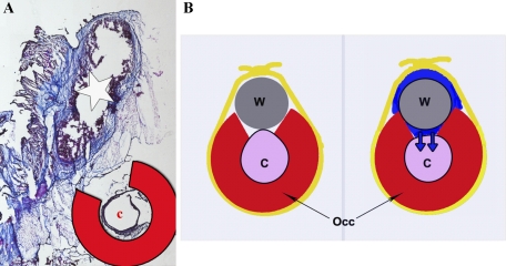 Fig. 8.