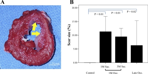 Fig. 5.