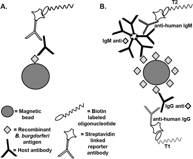 FIG 1