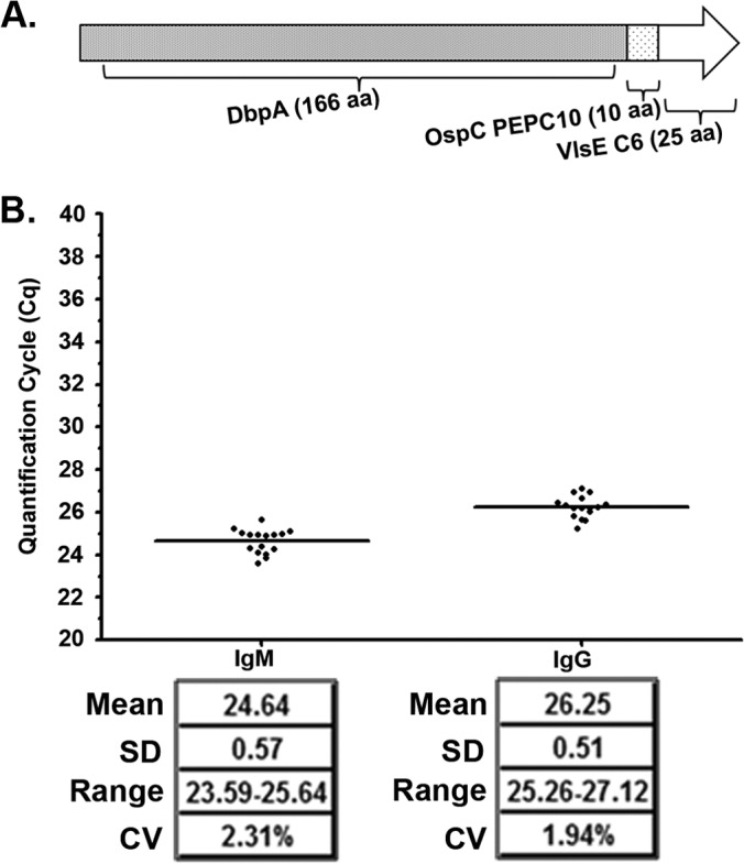 FIG 5