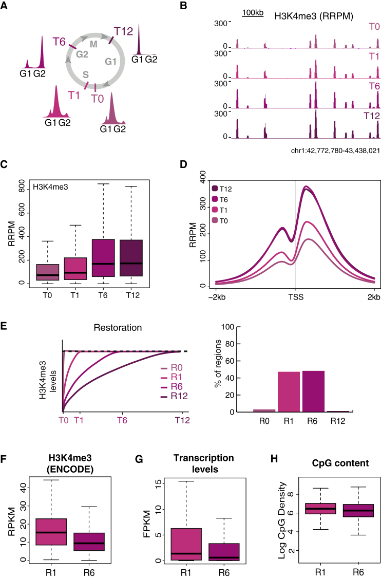 Figure 3