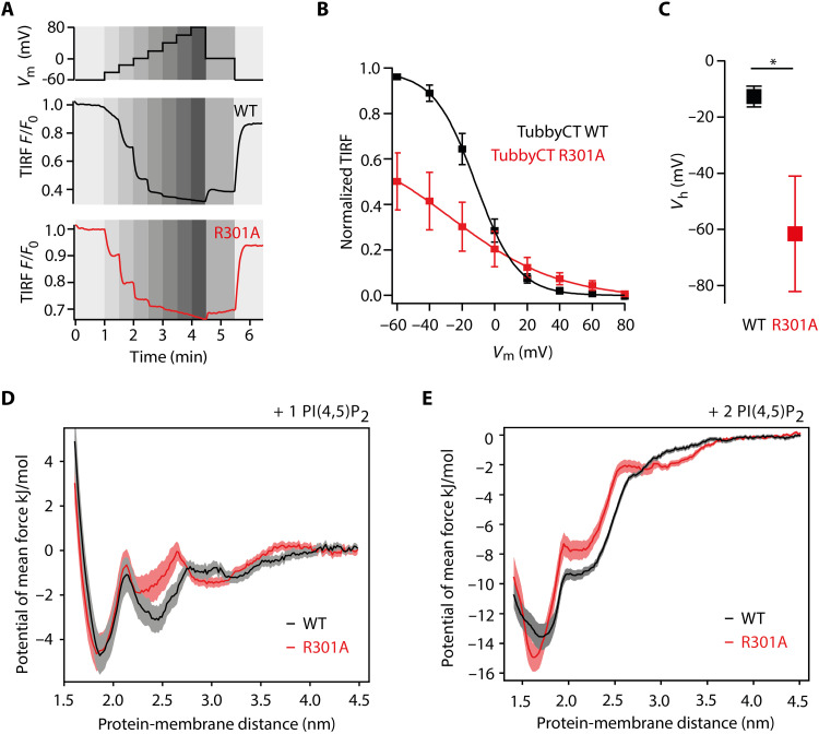 Fig. 4.