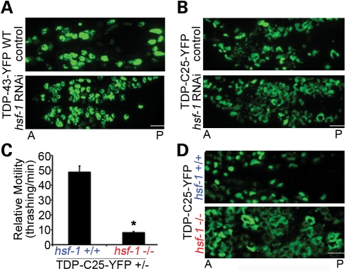 Figure 6.