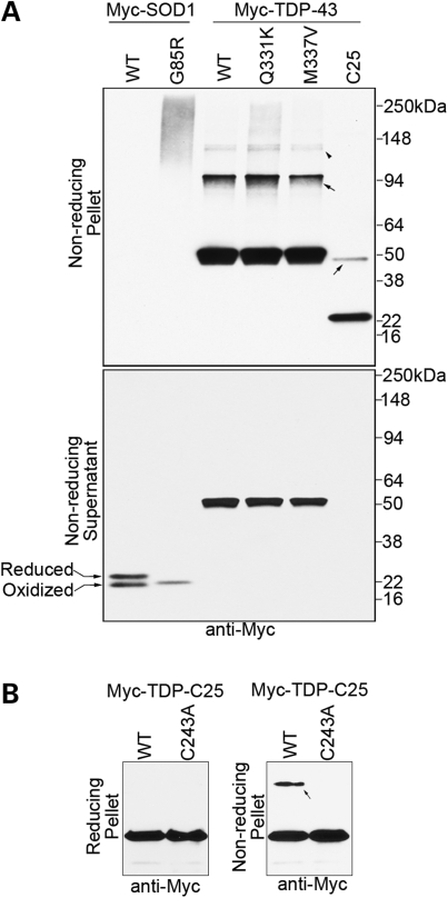 Figure 4.