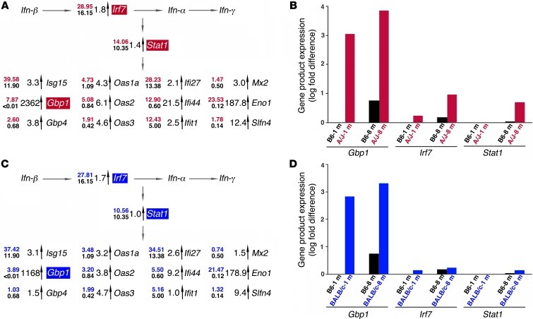 Figure 6