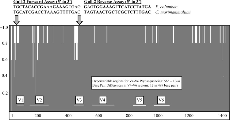 FIG 2