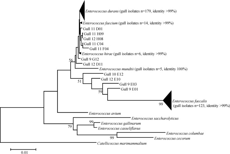 FIG 3