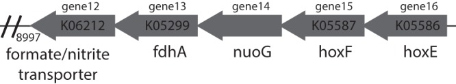 FIG 3