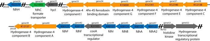 FIG 1