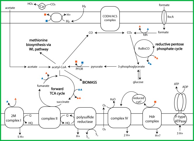 FIG 4