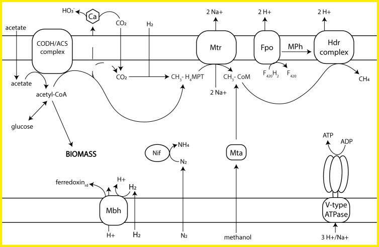 FIG 5