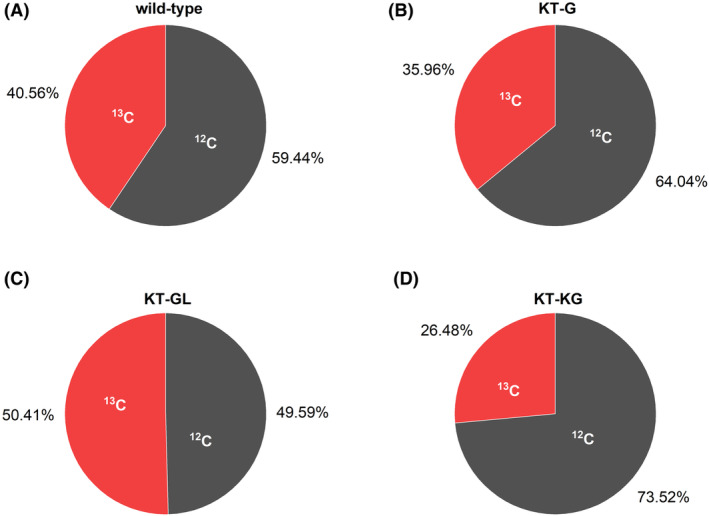 FIGURE 4