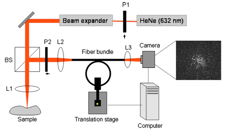 Fig. 1